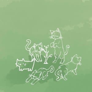 a couple cats but like pretty much only classical honestly